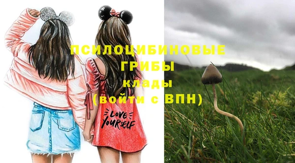 винт Пролетарск
