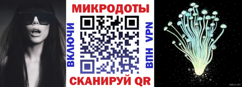 Галлюциногенные грибы Cubensis  кракен как зайти  Полярные Зори  где найти  